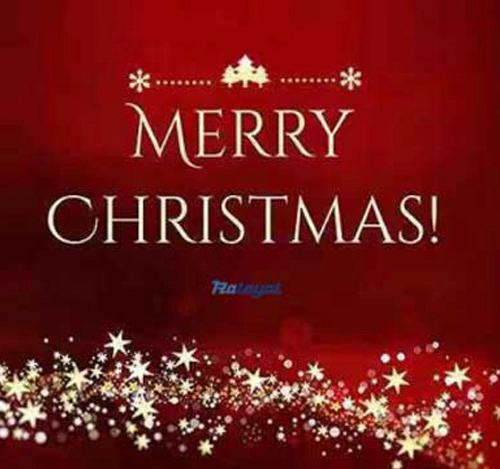 Ruian Loyal wishing you A Merry Christmas and a wonderful New Year!​