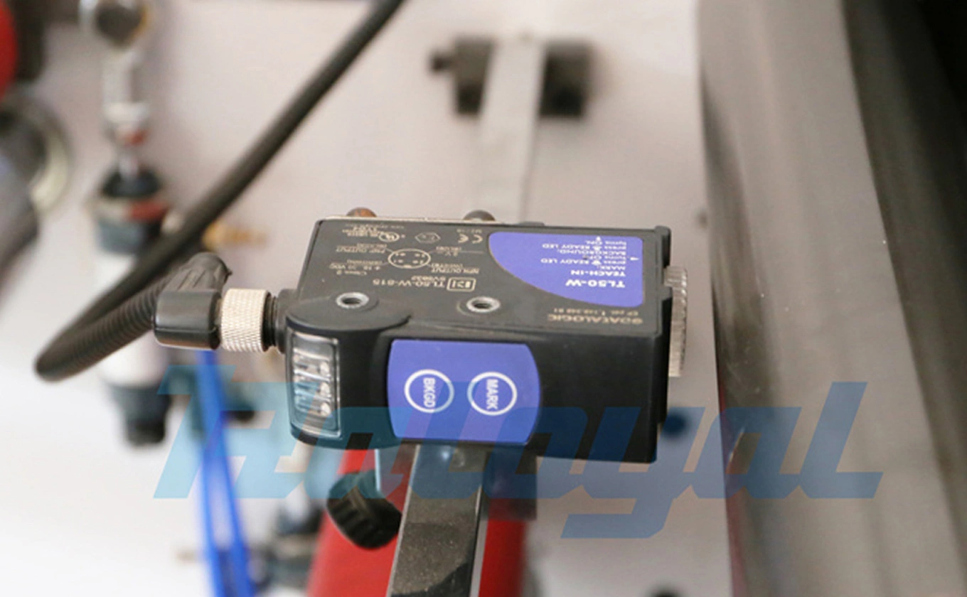 Application of LY-RS350 Semi-Rotary Die Cutting Machine