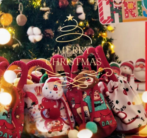 Merry Christmas 2025!